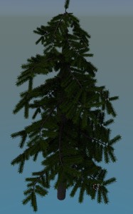 pine2